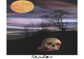 navigating-shadow-season